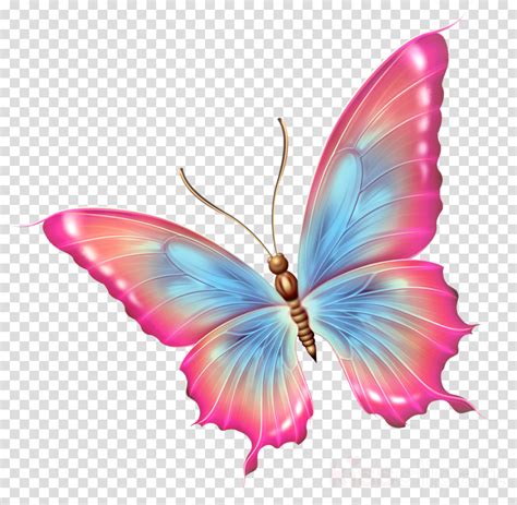 Butterfly Art Painting With Transparent Background