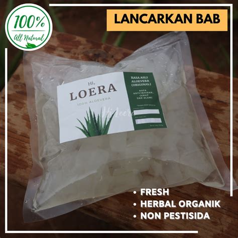 Jual Lidah Buaya Aloevera Aloe Vera Kupas Obat Herbal Asam Lambung Maag