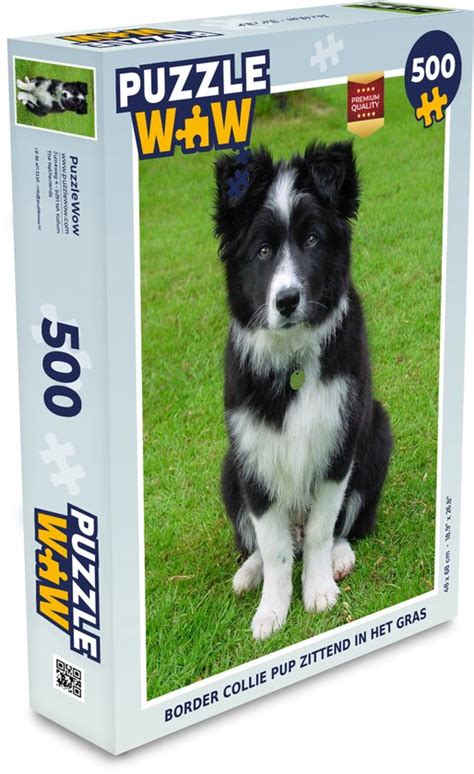 Puzzel Border Collie Pup Zittend In Het Gras Legpuzzel Puzzel