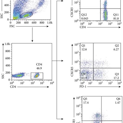 The Frequencies Of Cd Cxcr Cd Cxcr Pd And Cd Cxcr Icoshigh