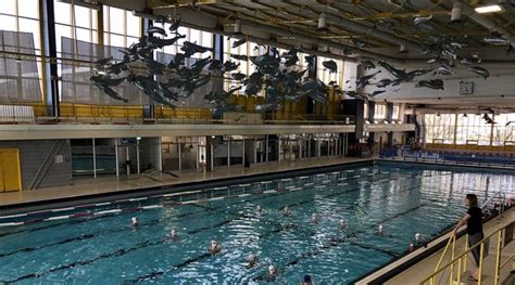 A Metropolitan Swimming Pool With Olympic Standards Will Be Created In