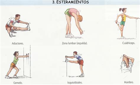 La Activaci N Corporal El Calentamiento Para Y Educaci N