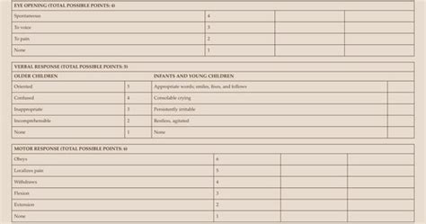 Peds Exam 3 Part 2 Flashcards Quizlet