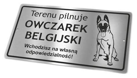 Tabliczka Uwaga Pies Owczarek Belgijski Malinois Allegro Pl