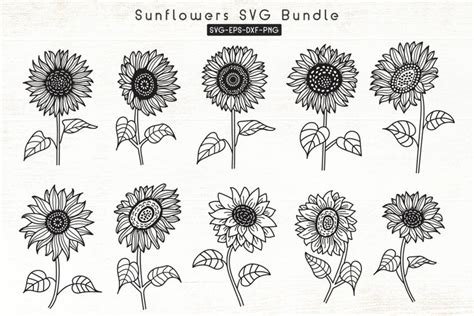 Sunflowers Svg Bundle Sunflower Cliparts Flower Svg