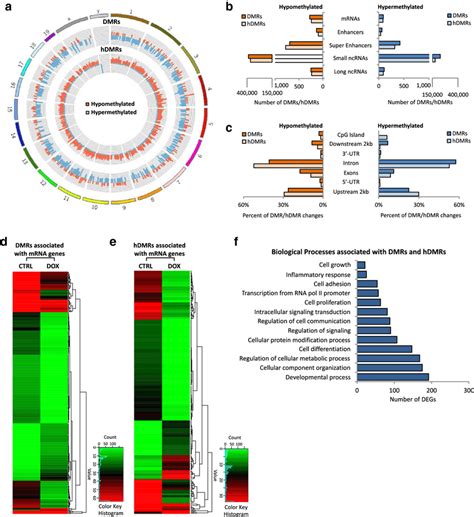 Tumor Regression Upon Myc Inactivation In T All Is Associated With