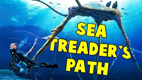 Sea Treaders Path And Grand Reef Shipwreck Subnautica Full Release