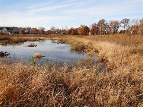 wetlands  seldom  park deserve  attention