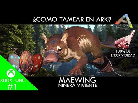 COMO TAMEAR A EL MAEWING EN LOST ISLAND UBICACION Y RECOMENDACION YouTube