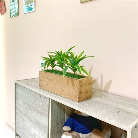 Jual Planter Box Mini Tanaman Artificial Song Of India Shopee Indonesia