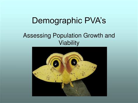 Ppt Demographic Pvas Powerpoint Presentation Free Download Id6382784