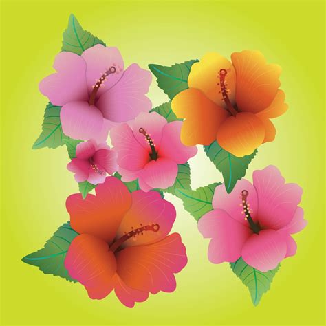 Hibiscus Vectors Vector Art And Graphics