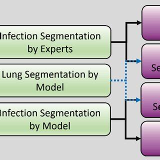 A Schematic Representation Of The Workflow It Presents The Pipeline