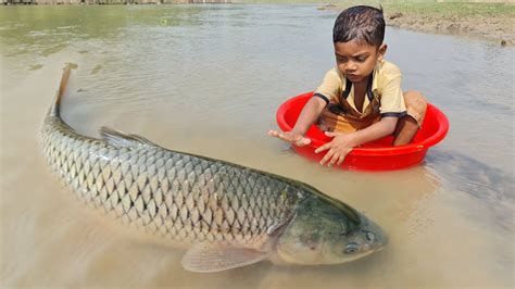 Amazing Traditional Boy Fish Catching By Hand In Water Amazing Hand