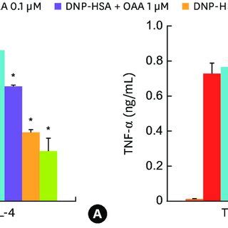 Effects Of Oaa On Pro Inflammatory Cytokine Expression And Signaling