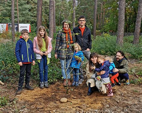 Bereits Der Baum Im Zukunftswald Borkwalde Gepflanzt Tipidorf In