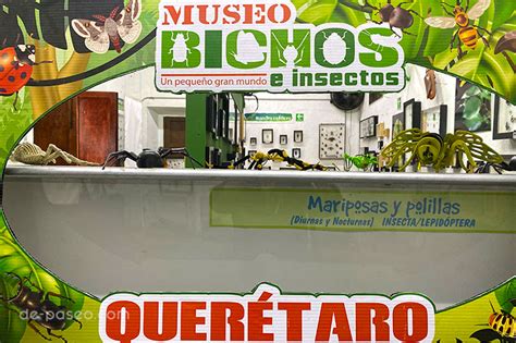 Museo De Bichos Querétaro