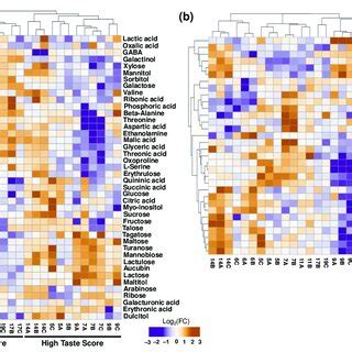 Heatmap And Hierarchical Cluster Analysis Of Primary Metabolites In The