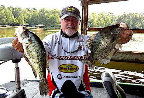 Improve Your Crappie Fishing With These Videos Game And Fish