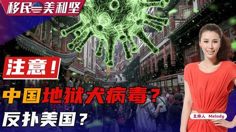 重磅：拜登重启新冠检测计划！ 重复感染新冠更危险吗？《移民美利坚》20221221 Youtube