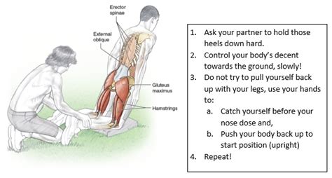 Hamstring Injury And How To Prevent Them Rhp Physiotherapy