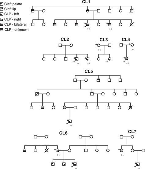 Pedigrees Of Families Analysed Symbol Indicates That The Individual