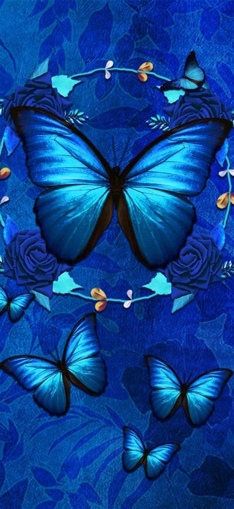 Blue Butterflies And Roses On A Blue Background