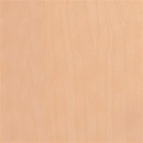 titanium gold zhejiang bohai metal products technology