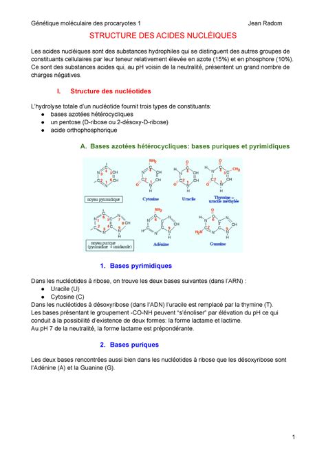 Structure Des Acides Nucl Iques Structure Des Acides Nucl Iques