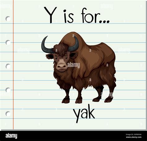 Flashcard Letter Y Is For Yak Stock Vector Image And Art Alamy