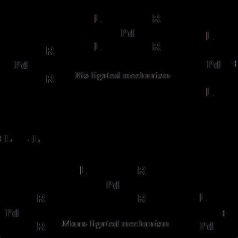 Cross Coupling Reaction Reductive Elimination Download Scientific Diagram