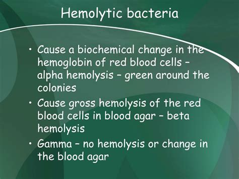 gram positive bacteria  clinical case studies ii powerpoint