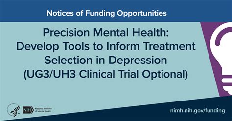 Nimh Technical Assistance Webinar Precision Mental Health Develop