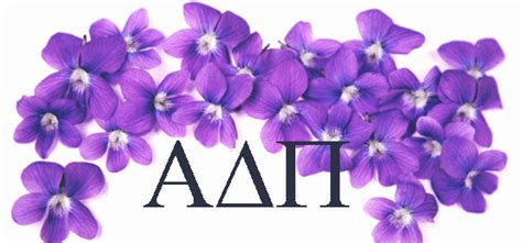 Violets Sigma Kappa Alpha Delta Pi Alpha Delta Pi Sorority