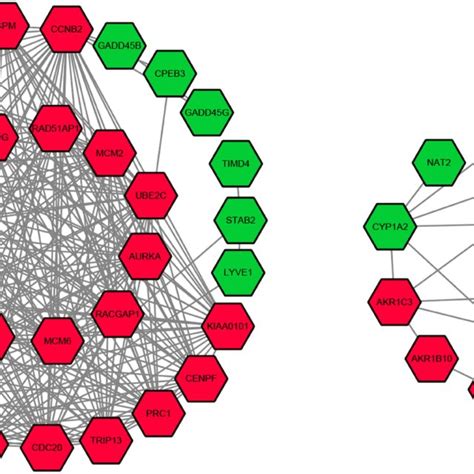 Protein Protein Interaction Network Of The Differentially Expressed