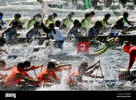 Racing The Dragon Boats In Hong Kong Stock Photo Alamy