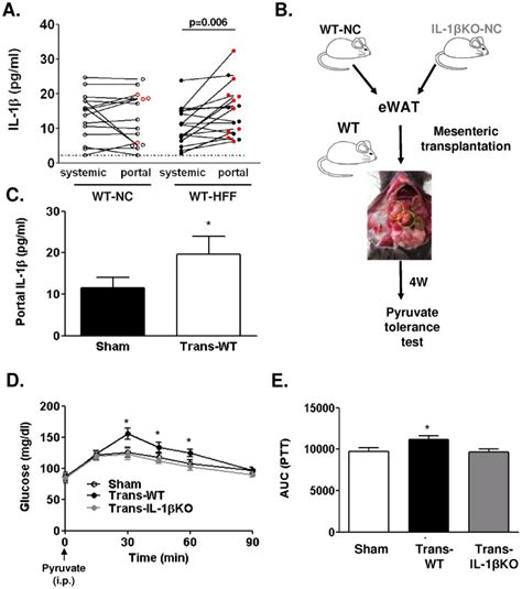 A Serum Il 1β Levels Were Measured In Peripheral Systemic Or Portal Download Scientific