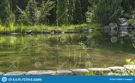 Small Garden Pond with Many Decorative Plants. Nature Concept for ...