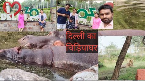 Delhi Zoo Travel Vlog Ii Delhi Ka Chidiyaghar Ii National Zoological