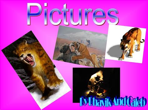 Ppt ~sabre Tooth Tiger ~ Powerpoint Presentation Free Download Id 5412536