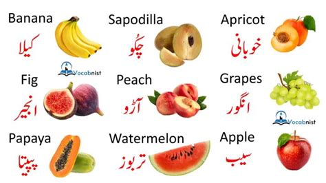 An Image Of Different Fruits With Names In English And Arabic Letters