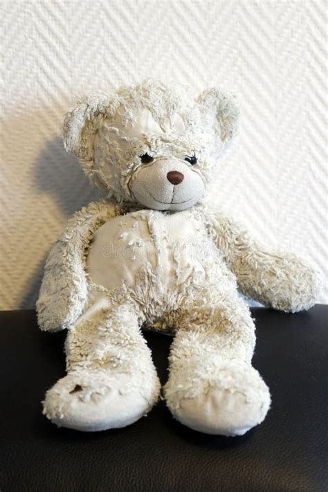 France Daily Life Stock Photo Image Of Life Bear 261308356