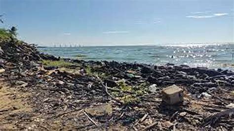 Más de 140 mil toneladas de desechos han sacado del Lago de Maracaibo