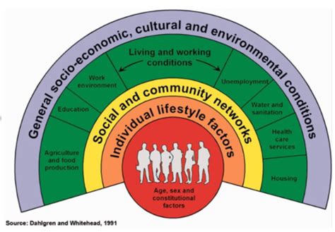 Week 2 Understanding Health Inequalities And Determinants Of Health