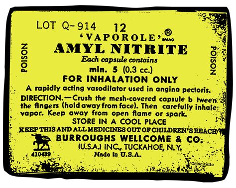 Vintage Amy Nitrate Label T Homodrome