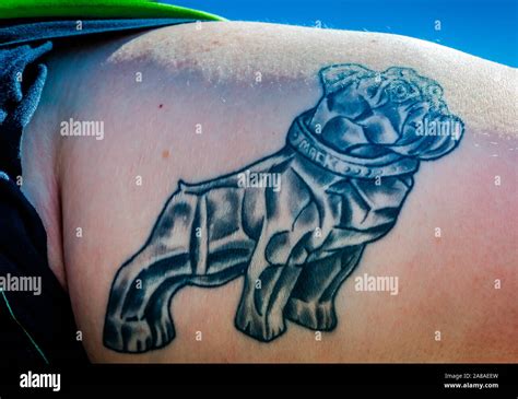 Lane Adams Shows Off His Mack Bulldog Tattoo At Mike Adams Towing And