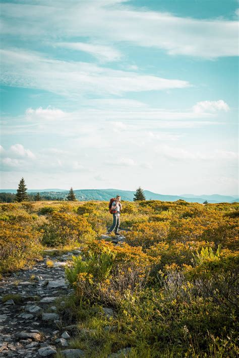 Dolly Sods Is So Beautiful Wildernessbackpacking