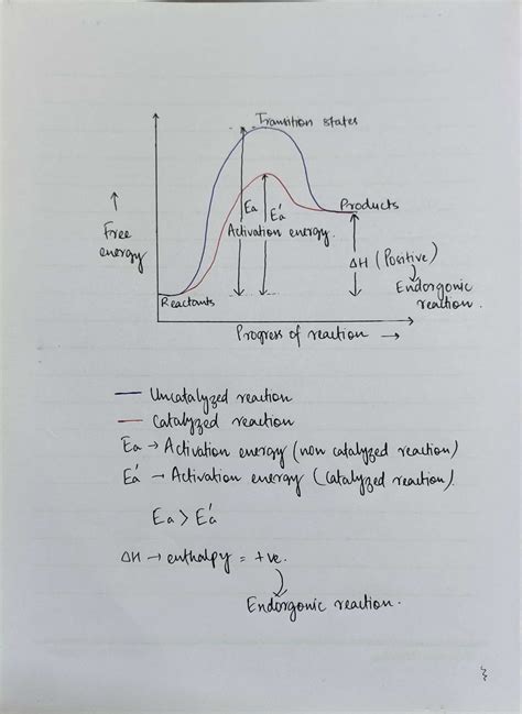 Solved Draw A Labelled Energy Level Diagram For An Endergonic