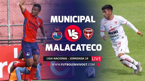 En Vivo Municipal Vs Malacateco En Directo Liga Nacional