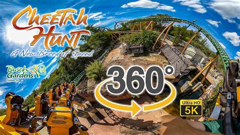 VR 360 5K Cheetah Hunt Roller Coaster On Ride Ultra HD POV Busch